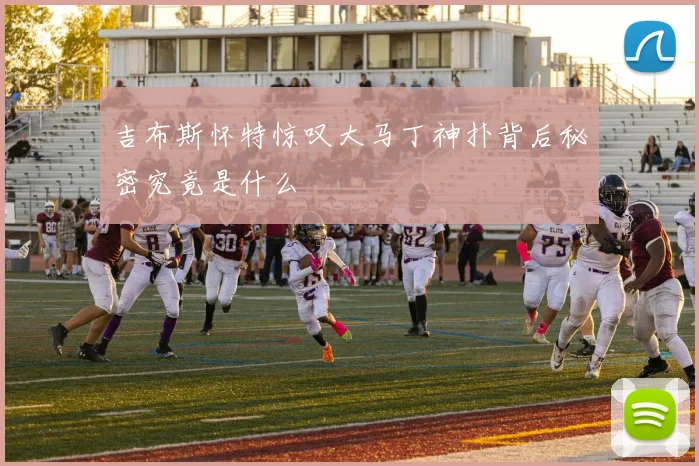 吉布斯怀特惊叹大马丁神扑背后秘密究竟是什么